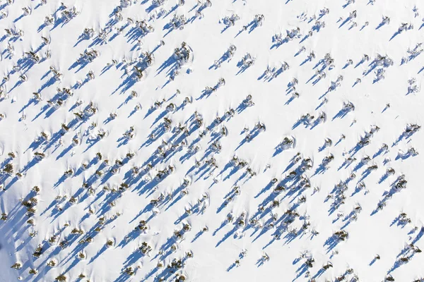 Luftaufnahme der winterlichen Berglandschaft — Stockfoto