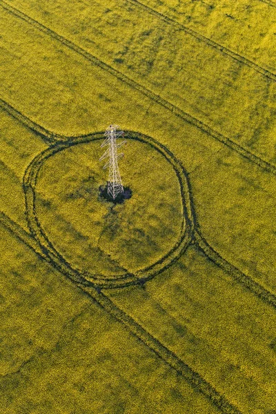 Vue aérienne du champ de récolte — Photo