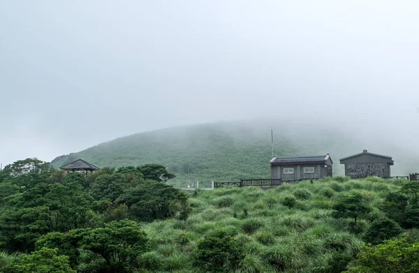 Qingtiangang otlak, Yangmingshan Milli Parkı. Taipei City, Tayvan
