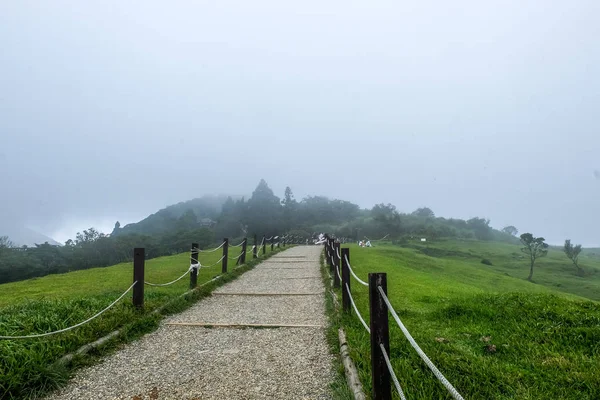 Qingtiangang otlak, Yangmingshan Milli Parkı. Taipei City, Tayvan