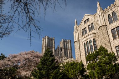 Kyung Hee Üniversitesi