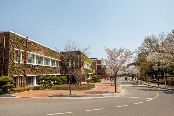 Universidad de Keimyung — Foto de Stock