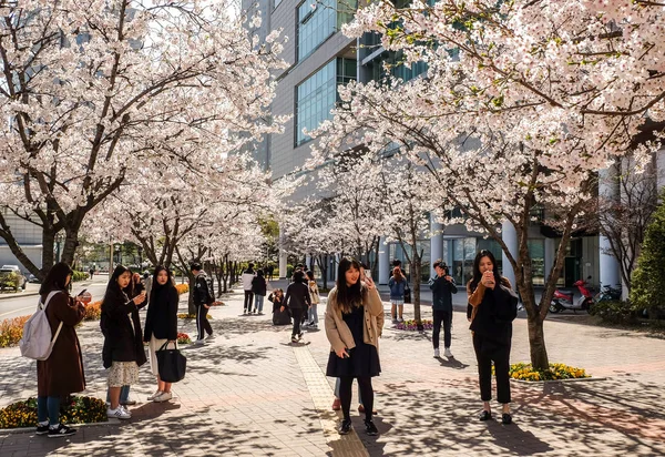 Universidad de Konkuk — Foto de Stock