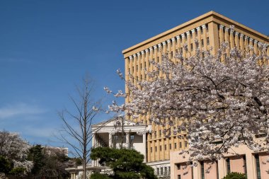 Kyung Hee Üniversitesi