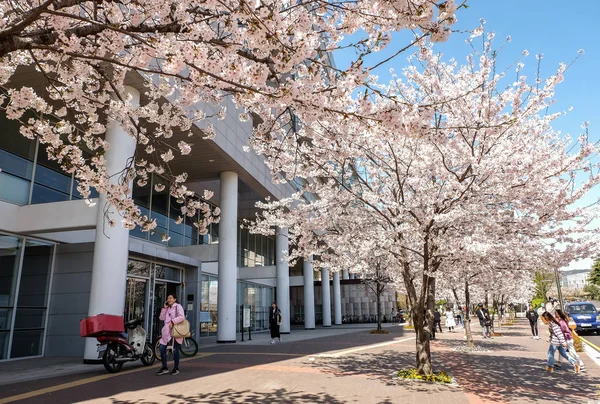 Universidad de Konkuk — Foto de Stock