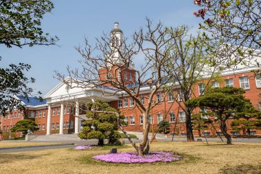 Keimyung Üniversitesi