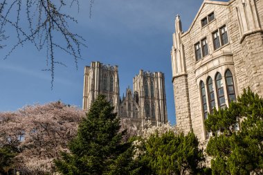 Kyung Hee Üniversitesi