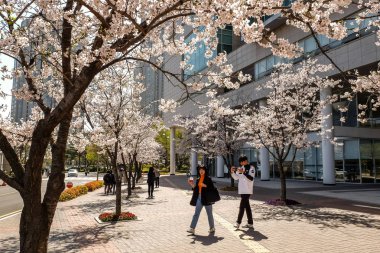 Konkuk Üniversitesi