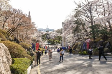 Kyung Hee Üniversitesi