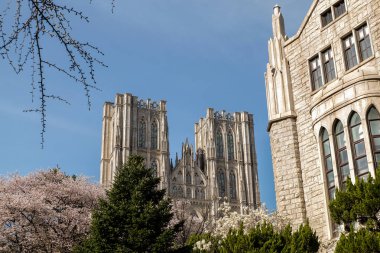 Kyung Hee Üniversitesi