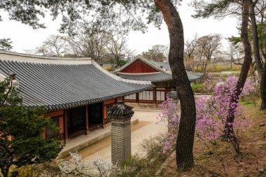 changgyeonggung Sarayı