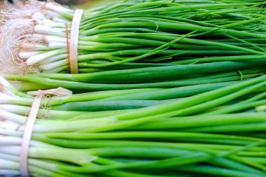 Leaf of Green Onion, Spring Onion, Scallion display on the food market .Close Up shot clipart