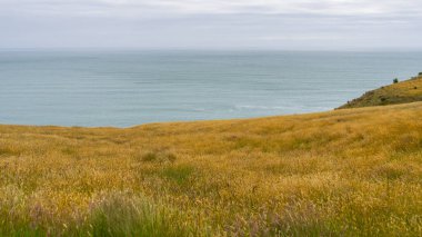 Taylors geçit okyanus ile hata, Yeni Zelanda, Taylors hata Plajı'na görünümünden Godley kafa geçit, Canterbury, Godley yürüyüş baş izlemek, Christchurch, Yeni Zelanda
