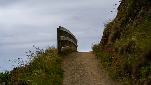 Gehweg Meer Schneiderfehler Neuseeland Blick Auf Schneiderfehler Strand Vom Godley — Stockfoto