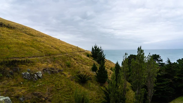 Promenade Bord Océan Erreur Taylors Nouvelle Zélande Vue Sur Taylors — Photo