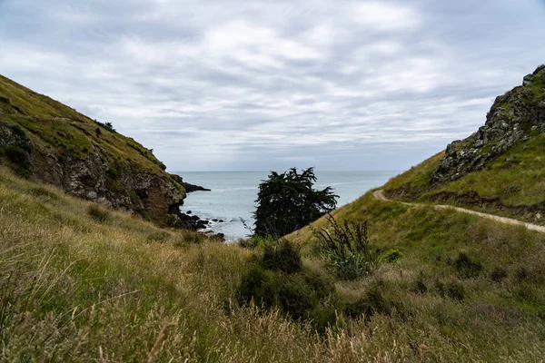 뉴질랜드 뉴질랜드 뉴질랜드 뉴질랜드 날씨의 놀라운 Taylors 보도의 해안선 — 스톡 사진