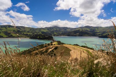Yeni Zelanda 'daki Akaroa okyanus körfezi, Yeni Zelanda' daki muhteşem okyanus körfezi, Yeni Zelanda 'nın güzel akaroa Dağları' nın üzerindeki Akaroa 'nın gözcüsünden inanılmaz bir manzara. 