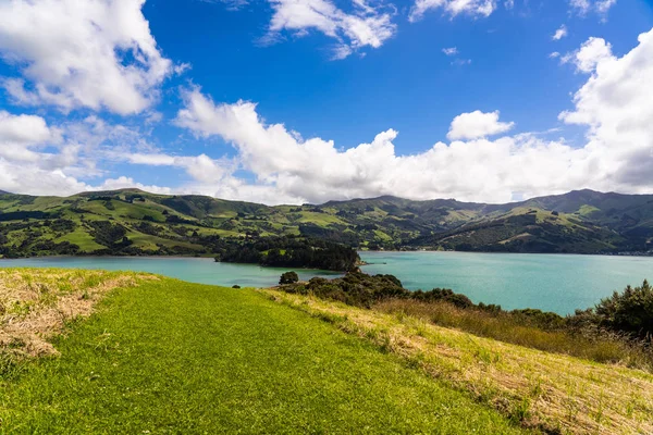 Visa Från Onawe Banan Nya Zeeland Fantastiska Ocean Bay Akaroa — Stockfoto