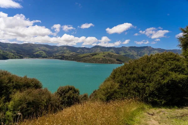 Akaroa Oceán Záliv Novém Zélandu Úžasný Výhled Rozhledny Akaroa Nad — Stock fotografie