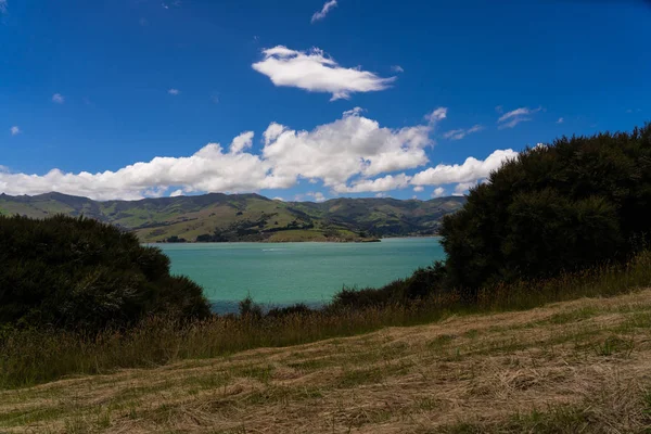 Baie Océanique Akaroa Nouvelle Zélande Vue Imprenable Depuis Belvédère Akaroa — Photo
