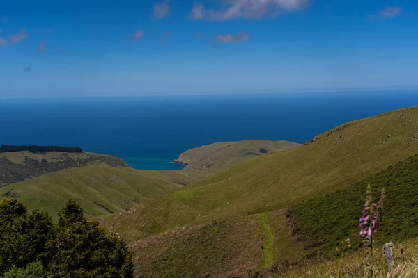 ニュージーランドのアカロア海の湾 アカロアの展望台からの素晴らしい景色 アカロアの美しい山々の上ニュージーランド ニュージーランドの素晴らしい海の湾 — ストック写真