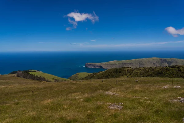 Akaroa Oceán Záliv Novém Zélandu Úžasný Výhled Rozhledny Akaroa Nad — Stock fotografie