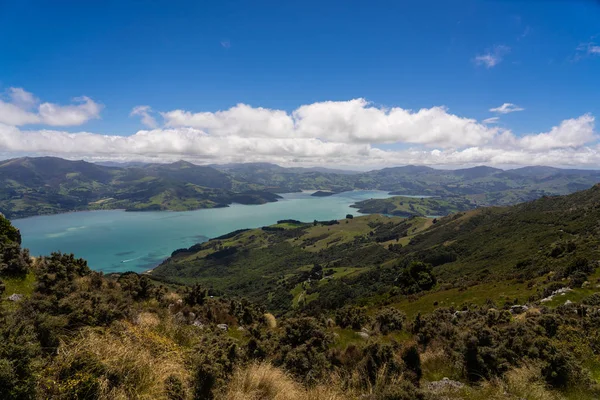 Akaroa Oceán Záliv Novém Zélandu Úžasný Výhled Rozhledny Akaroa Nad — Stock fotografie