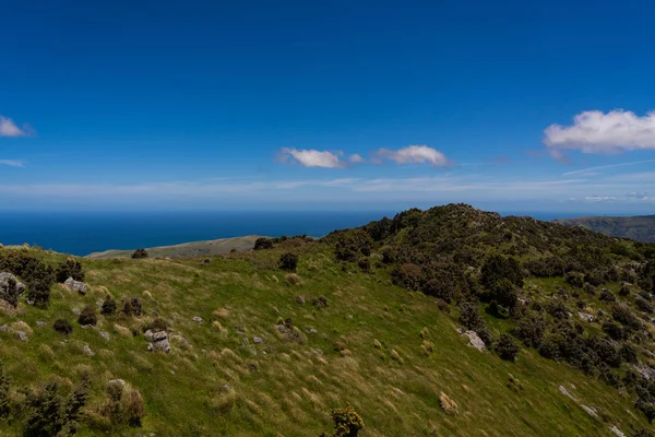 Akaroa Oceaanbaai Nieuw Zeeland Geweldig Uitzicht Vanaf Uitkijkpost Van Akaroa — Stockfoto