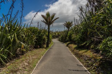 Krep kayaları yürüme yolu, Yeni Zelanda 'nın kalbinde harika bir yol, krep kayalarında harika bir yürüyüş yolu.,