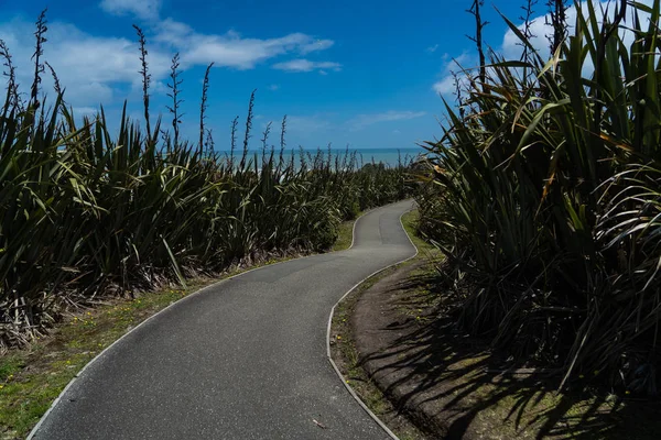 Pancake Rocks Walkway Track Amazing Track Heart New Zealand Great — Stock Photo, Image