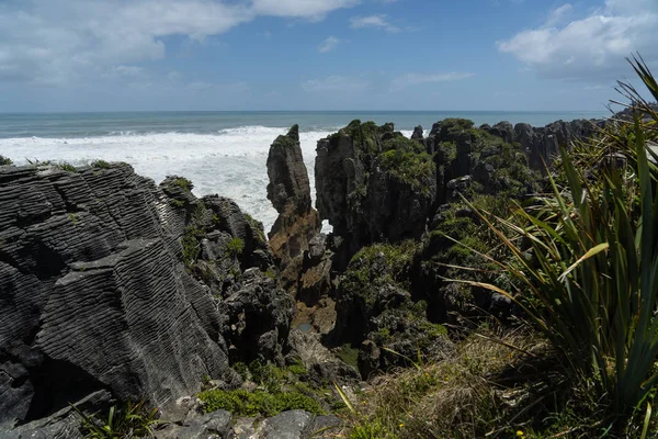 パパロア国立公園 西海岸 ニュージーランドのパンケーキ岩 フォックス氷河の近くのパンケーキ岩の概要 — ストック写真