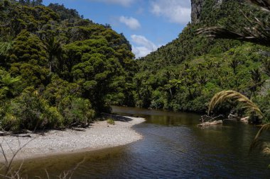 Pororari Nehri pisti, Pororari Nehri Pisti, Yeni Zelanda, Güney Adası, Yeni Zelanda Ormanı, Catlins, Güney Adası. 