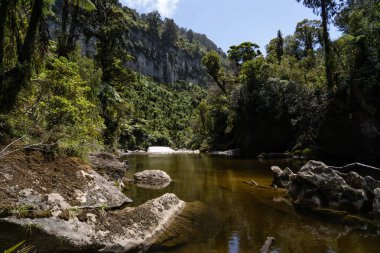 Pororari Nehri pisti, Pororari Nehri Pisti, Yeni Zelanda, Güney Adası, Yeni Zelanda Ormanı, Catlins, Güney Adası. 