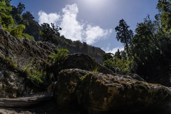 Trilha Rio Pororari Paisagem Trilha Rio Pororari Nova Zelândia Ilha — Fotografia de Stock