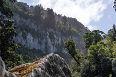 Pororari Nehri pisti, Pororari Nehri Pisti, Yeni Zelanda, Güney Adası, Yeni Zelanda Ormanı, Catlins, Güney Adası. 