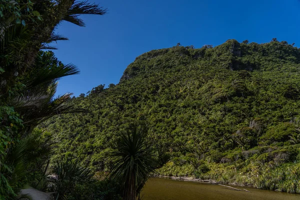 Pororari River Spår Landskap Pororari River Track Nya Zealand Södra — Stockfoto