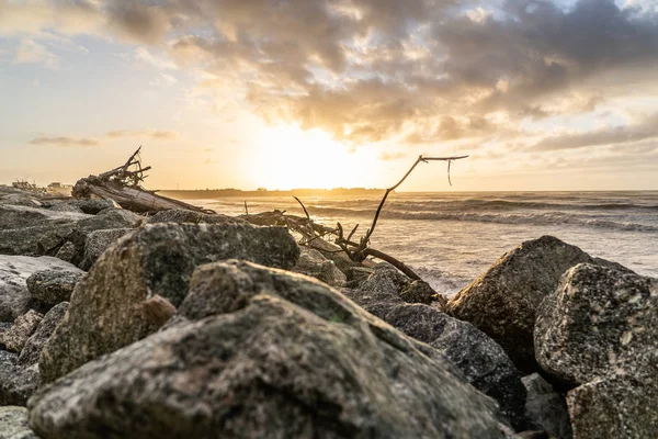 Sonnenuntergang Der Küste Neuseelands Mit Felsen Und Holz Vordergrund Erstaunlicher — Stockfoto