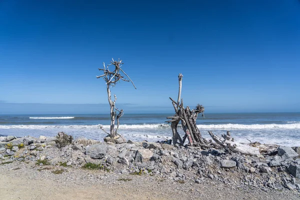 Madera Muerta Playa Hotikita Nueva Zelanda Playa Increíble Nueva Zelanda — Foto de Stock