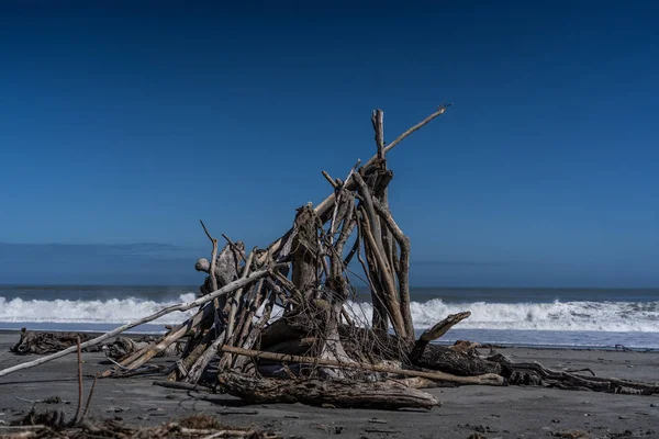 Hotikita Yeni Zelanda sahilindeki ölü odun, Yeni Zelanda 'daki inanılmaz plaj, sahili ve dalgaları olan inanılmaz okyanus görüntüsü, Yeni Zelanda sahillerindeki eski ahşap.