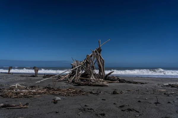 Madera Muerta Playa Hotikita Nueva Zelanda Playa Increíble Nueva Zelanda — Foto de Stock