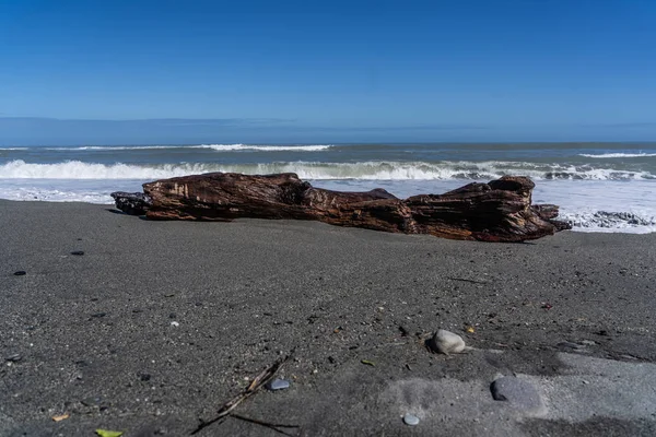 Hotikita Yeni Zelanda Sahilindeki Ölü Odun Yeni Zelanda Daki Inanılmaz — Stok fotoğraf