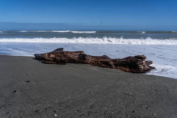 Madera Muerta Playa Hotikita Nueva Zelanda Playa Increíble Nueva Zelanda — Foto de Stock