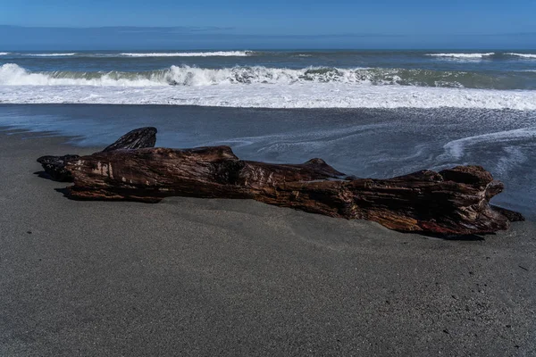 Hotikita Yeni Zelanda sahilindeki ölü odun, Yeni Zelanda 'daki inanılmaz plaj, sahili ve dalgaları olan inanılmaz okyanus görüntüsü, Yeni Zelanda sahillerindeki eski ahşap.