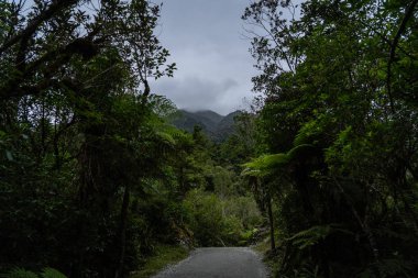 Franz Josef Buzulu ve vadi tabanı, Westland, Güney Adası, Franz Josef Buzul Ulusal Parkı, Yeni Zelanda, Franz Joseph buzulunun etrafındaki güzel doğanın görüntüsü.