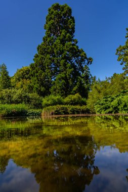 Botanik Bahçesi Christchurch Yeni Zelanda, Yeni Zelanda 'daki bir botanik bahçesinden harika bir doğal görüntü.