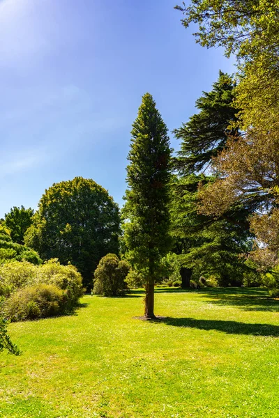 Jardim Botânico Christchurch Nova Zelândia Grande Imagem Natural Jardim Botânico — Fotografia de Stock