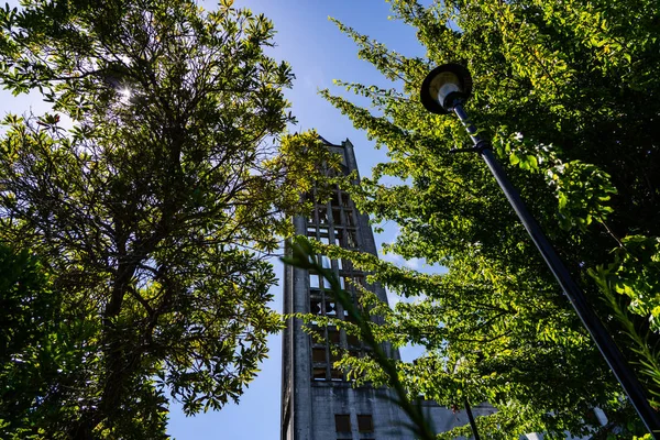 Turm Und Glockenturm Der Nelson Anglikanischen Kathedrale Nelson New Zealand — Stockfoto