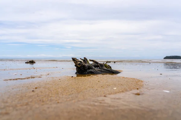 Marahau Stranden Hjärtat Abel Tasman Nationalpark Stor Strand Nya Zeeland — Stockfoto