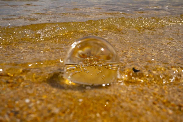 Čočka Pláži Abel Tasman Národní Balení Křišťálový Glas Míč Pláži — Stock fotografie