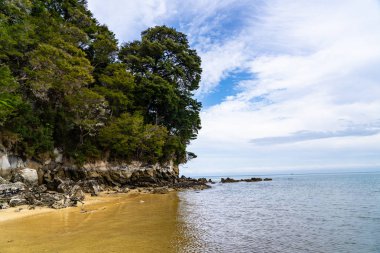 Marahau plajı, Abel Tasman Ulusal Parkı 'nın göbeğinde, Yeni Zelanda' nın büyük plajı, Abel Tasman Sahil Pisti plajının yanında., 